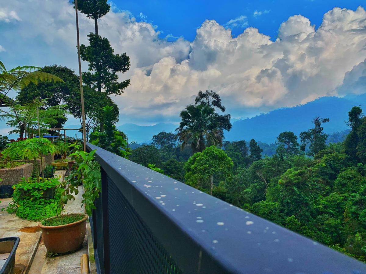 Harmony Valley Retreat Bukit Tinggi Ngoại thất bức ảnh