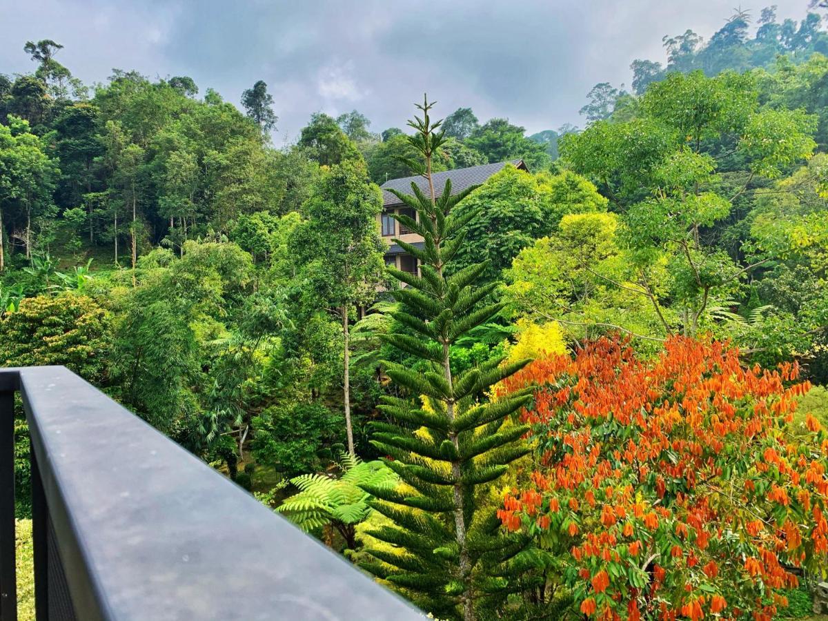 Harmony Valley Retreat Bukit Tinggi Ngoại thất bức ảnh