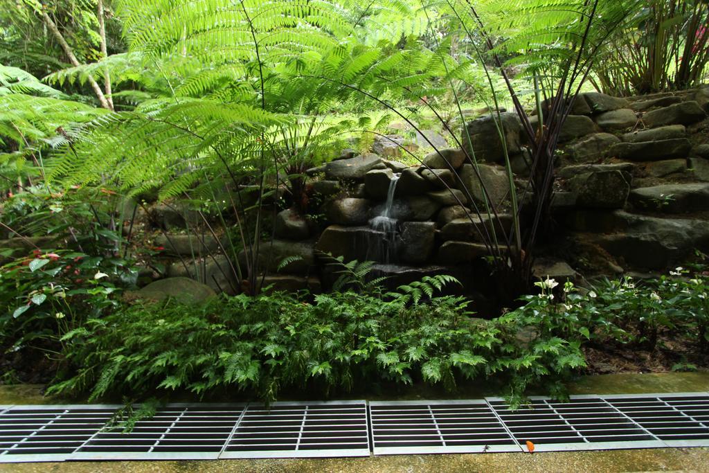 Harmony Valley Retreat Bukit Tinggi Ngoại thất bức ảnh