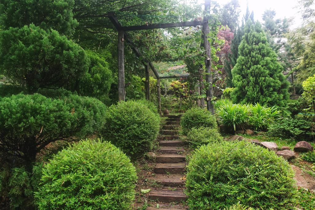 Harmony Valley Retreat Bukit Tinggi Ngoại thất bức ảnh