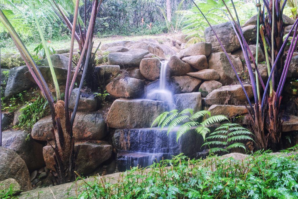 Harmony Valley Retreat Bukit Tinggi Ngoại thất bức ảnh