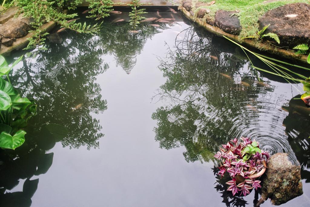 Harmony Valley Retreat Bukit Tinggi Ngoại thất bức ảnh